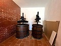 Huge Country Home in Alicante Dream Homes Castalla 