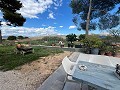 Huge Country Home in Alicante Dream Homes Castalla 