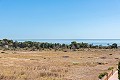 2 bedroom Apartment in Punta Prima in Alicante Dream Homes Castalla 