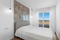 2 bedroom Apartment in Punta Prima in Alicante Dream Homes Castalla 