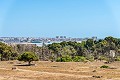 2 bedroom Apartment in Punta Prima in Alicante Dream Homes Castalla 