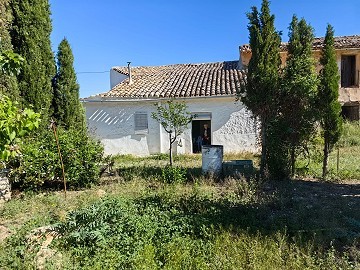 Beautiful Rural Country Home Awaiting a New Beginning 