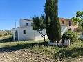 Beautiful Rural Country Home Awaiting a New Beginning  in Alicante Dream Homes Castalla 