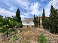 Beautiful Rural Country Home Awaiting a New Beginning  in Alicante Dream Homes Castalla 