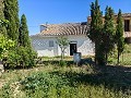 Beautiful Rural Country Home Awaiting a New Beginning  in Alicante Dream Homes Castalla 