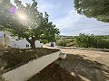 Amplia casa cueva de 230 m² con vistas a la montaña cerca de Pinoso in Alicante Dream Homes Castalla 