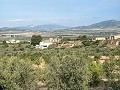 Amplia casa cueva de 230 m² con vistas a la montaña cerca de Pinoso in Alicante Dream Homes Castalla 