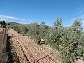 Cozy 2-Bedroom Country Home with Stunning Views and Paved Access, 11 km from Yecla in Alicante Dream Homes Castalla 