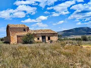 Ruin in Pinoso with enough land to build a new property