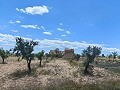 Ruine in Pinoso mit genügend Land zum Bau einer neuen Immobilie in Alicante Dream Homes Castalla 