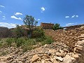 Ruine in Pinoso mit genügend Land zum Bau einer neuen Immobilie in Alicante Dream Homes Castalla 