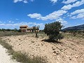 Ruine in Pinoso mit genügend Land zum Bau einer neuen Immobilie in Alicante Dream Homes Castalla 