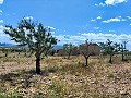 Ruine in Pinoso mit genügend Land zum Bau einer neuen Immobilie in Alicante Dream Homes Castalla 