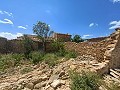 Ruine in Pinoso mit genügend Land zum Bau einer neuen Immobilie in Alicante Dream Homes Castalla 