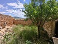 Ruine in Pinoso mit genügend Land zum Bau einer neuen Immobilie in Alicante Dream Homes Castalla 