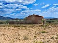 Ruine in Pinoso mit genügend Land zum Bau einer neuen Immobilie in Alicante Dream Homes Castalla 