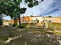 Wunderschönes Höhlenhaus mit Grundstück nur 10 Minuten von Pinoso entfernt in Alicante Dream Homes Castalla 