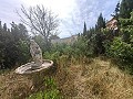 Wunderschönes Höhlenhaus mit Grundstück nur 10 Minuten von Pinoso entfernt in Alicante Dream Homes Castalla 