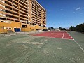 Appartement met 2 slaapkamers in Dehesa De Campoamor in Alicante Dream Homes Castalla 