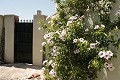 Schöne Villa mit 3 Schlafzimmern und 2 Bädern in Abanilla. in Alicante Dream Homes Castalla 