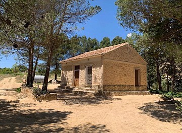 Lovely 4 Bed 1 Bath off Grid Finca in Almansa.