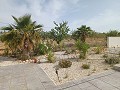 Prachtige villa met 6 slaapkamers en 5 badkamers in Pinoso. in Alicante Dream Homes Castalla 
