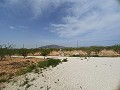 Prachtige villa met 6 slaapkamers en 5 badkamers in Pinoso. in Alicante Dream Homes Castalla 