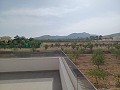 Prachtige villa met 6 slaapkamers en 5 badkamers in Pinoso. in Alicante Dream Homes Castalla 