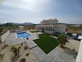 Prachtige villa met 6 slaapkamers en 5 badkamers in Pinoso. in Alicante Dream Homes Castalla 