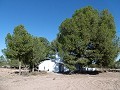 Lovely 5 Bed 2 Bath Country house with Pool in Yecla. in Alicante Dream Homes Castalla 