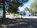 Lovely 5 Bed 2 Bath Country house with Pool in Yecla. in Alicante Dream Homes Castalla 
