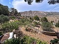 Magnifique maison de campagne avec vue imprenable sur les montagnes à Petrer in Alicante Dream Homes Castalla 