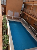 Nice 2 bed 1 Bath Apartment in Rafal near Orihuela. in Alicante Dream Homes Castalla 