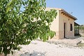 Lovely Authentic 4 Bed 2 Bath Spanish Finca with Guest House in Pinoso. in Alicante Dream Homes Castalla 