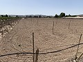 Building plot between Novelda and Monforte Del Cid in Alicante Dream Homes Castalla 