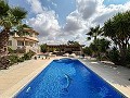 Lovely 5 bedroom 4 Bath Villa in Pinoso. in Alicante Dream Homes Castalla 