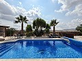 Lovely 5 bedroom 4 Bath Villa in Pinoso. in Alicante Dream Homes Castalla 