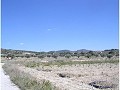 Plot of land for sale in (Rincon Del Moro.) Sax in Alicante Dream Homes Castalla 