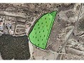 Plot of land for sale in (Rincon Del Moro.) Sax in Alicante Dream Homes Castalla 