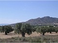 Plot of land for sale in (Rincon Del Moro.) Sax in Alicante Dream Homes Castalla 
