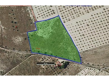 Plot of land for sale in Paraje Camara (Salinas).