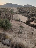 Cavehouses on a big plot, reform project close to Town in Alicante Dream Homes Castalla 