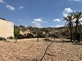 Cavehouses on a big plot, reform project close to Town in Alicante Dream Homes Castalla 