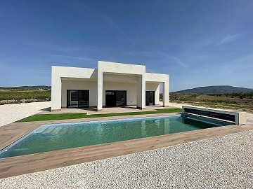Stunning new builds villa with pool