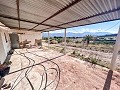 Finca con más de 20.000 m²  de Terreno con Amplias Posibiliades in Alicante Dream Homes Castalla 