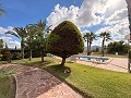 Amazing Villa with pool, huge guesthouse and dog kennels in Monovar! in Alicante Dream Homes Castalla 