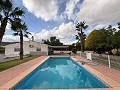 Amazing Villa with pool, huge guesthouse and dog kennels in Monovar! in Alicante Dream Homes Castalla 
