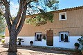 Prachtig landhuis met 3 slaapkamers en 2 badkamers te koop in La Romana. in Alicante Dream Homes Castalla 