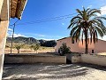 Proyecto de renovación de bodega con características originales in Alicante Dream Homes Castalla 