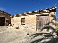 Proyecto de renovación de bodega con características originales in Alicante Dream Homes Castalla 